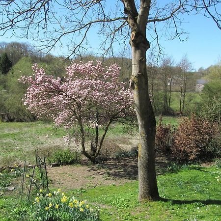 Вілла Les Chevrefeuilles Walcourt Номер фото