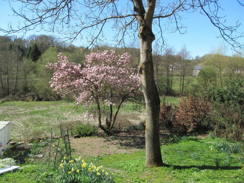 Вілла Les Chevrefeuilles Walcourt Номер фото